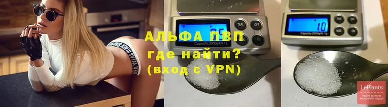 APVP СК  Нелидово 